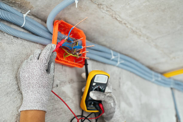 Best Ceiling Fan Installation Electrician  in Hill N Dale, FL